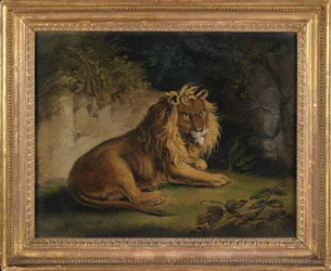A Lion in a Jungle Landscape